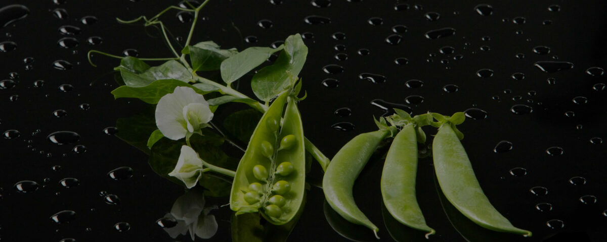 ART CULINAIRE-GASTRONOMIE-DROME-VALENCE-ROMANS-PATISSERIE-